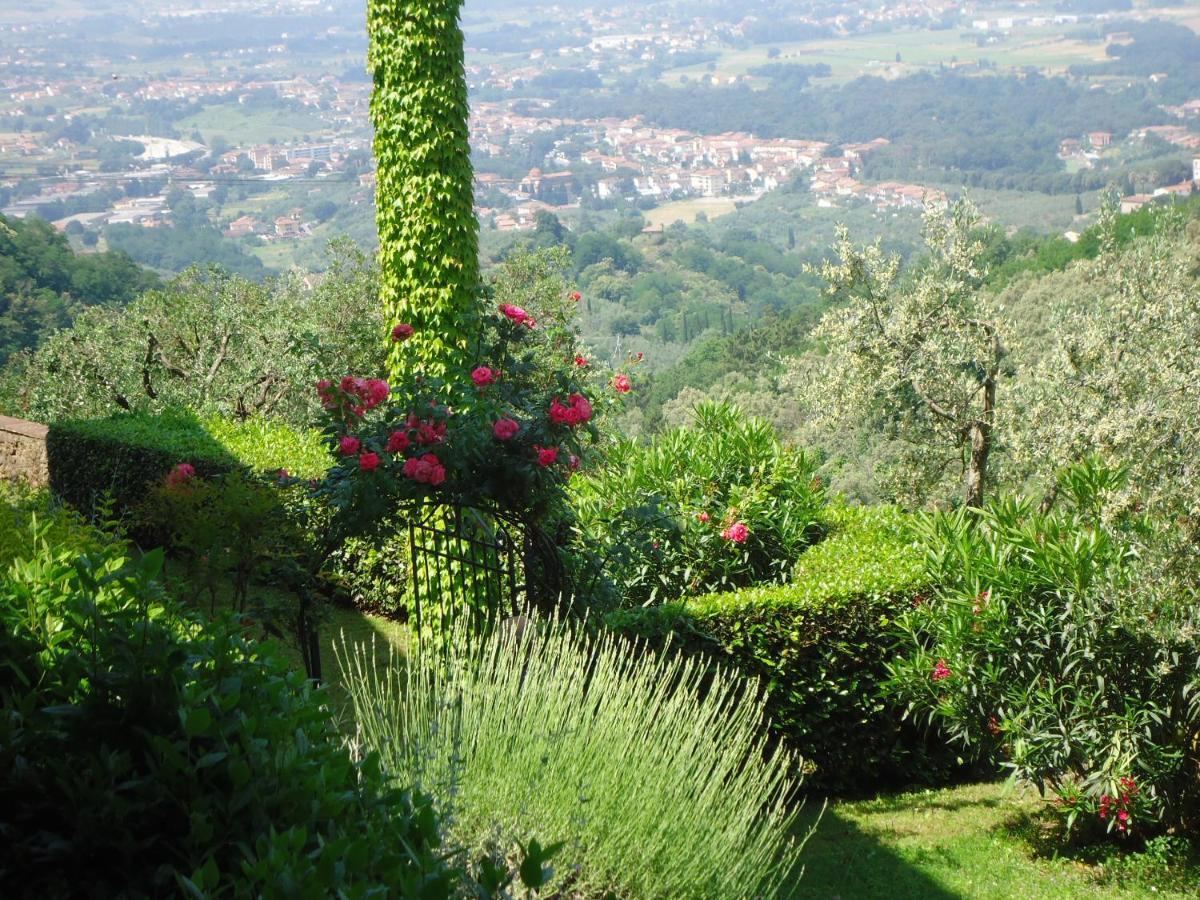 Di Papiano * San Baronto