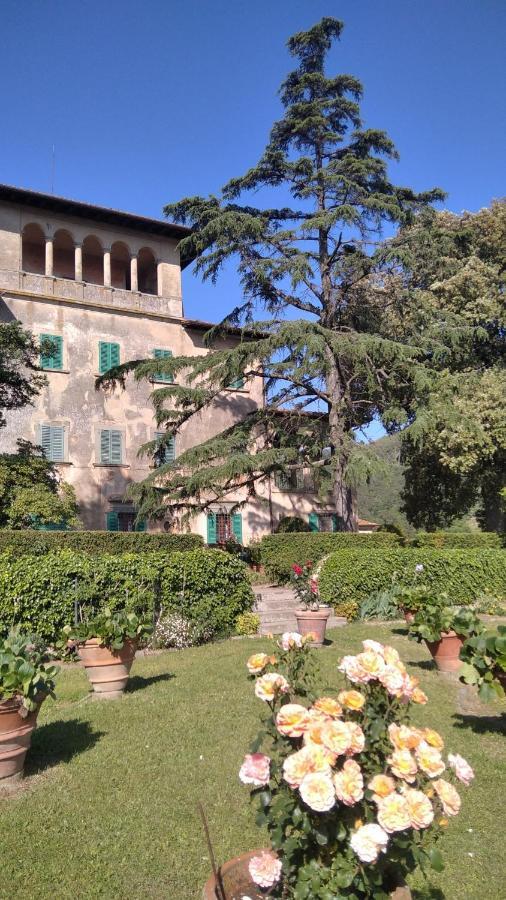 Apartment Di Papiano *