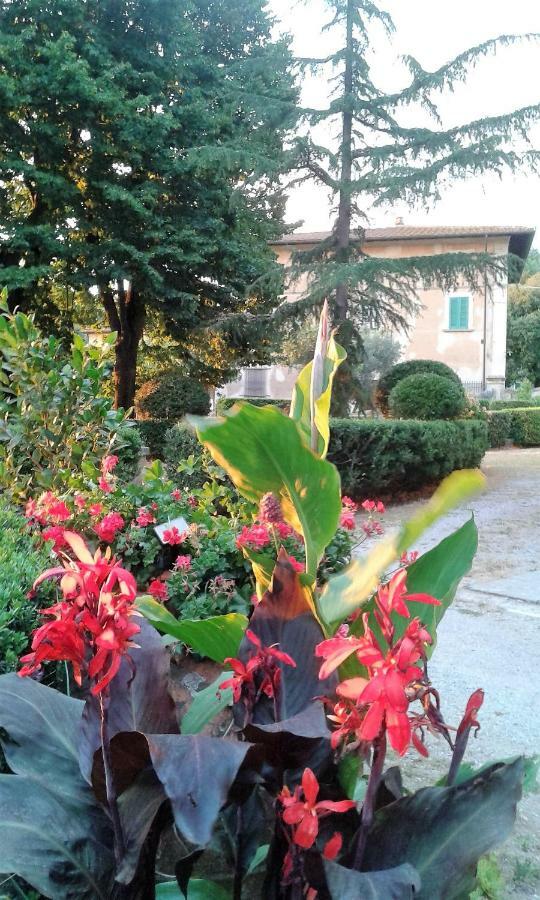 Di Papiano Apartment *