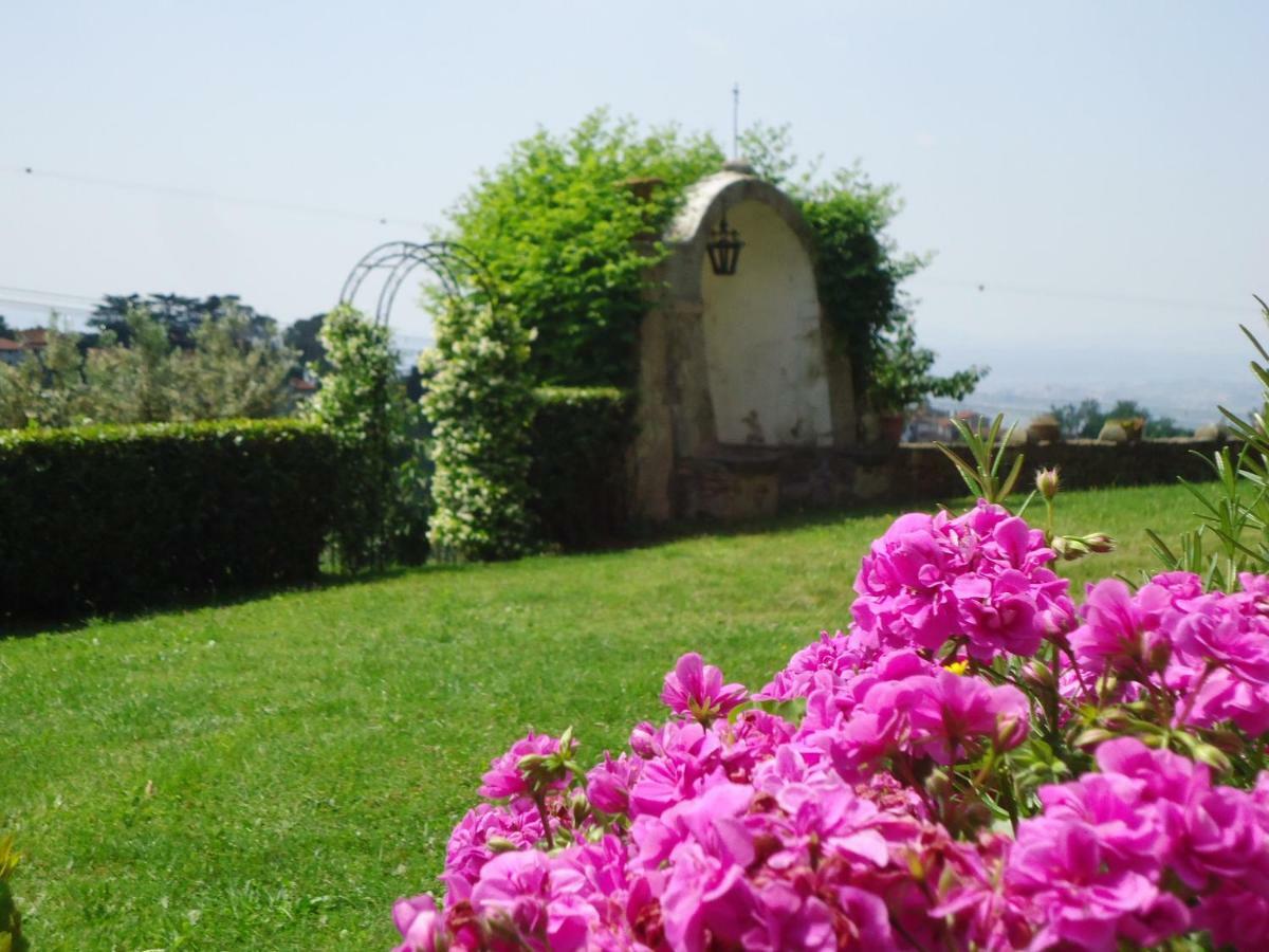 Di Papiano Apartment San Baronto
